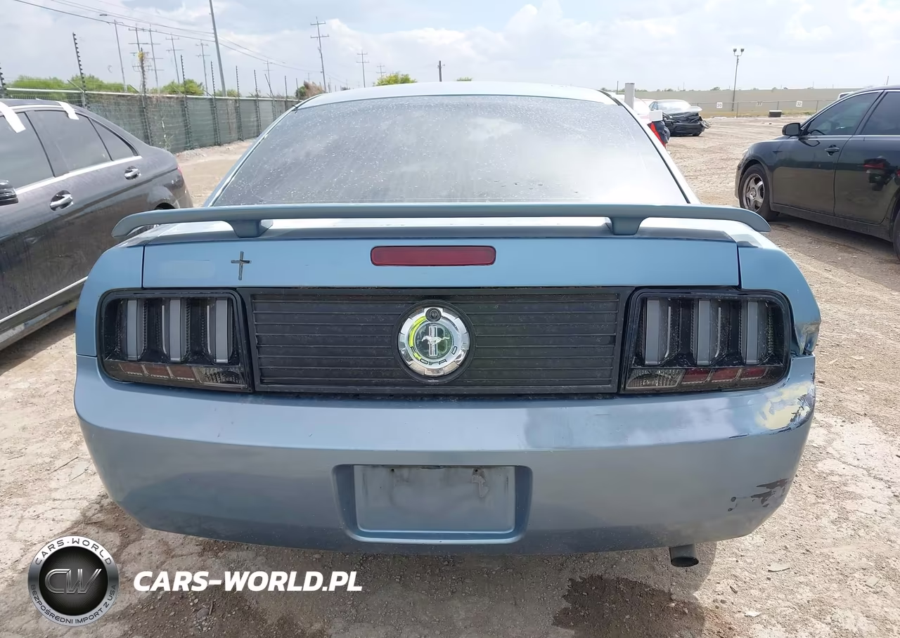 2006 Ford Mustang V6 VIN:1ZVFT80N565116184 - 16