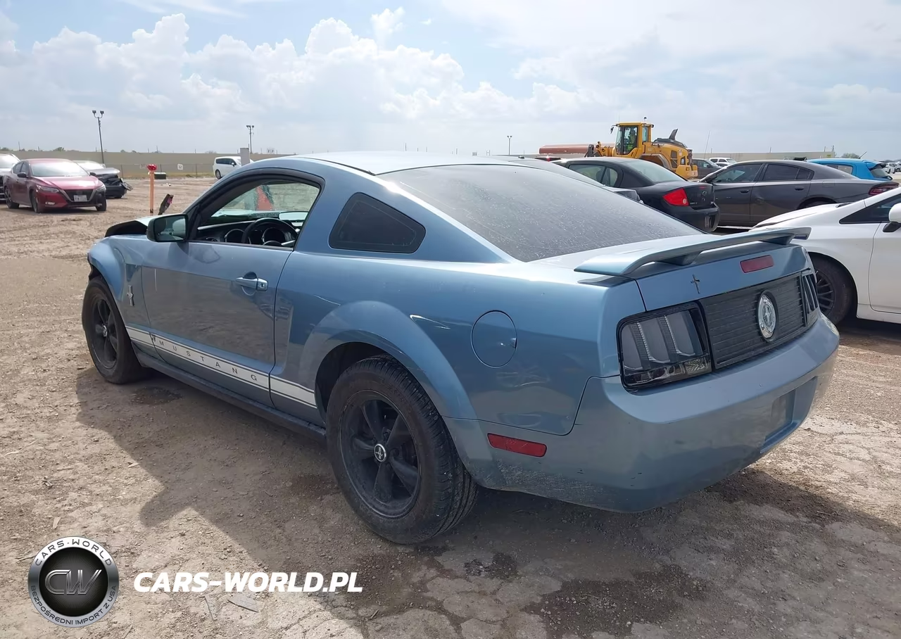 2006 Ford Mustang V6 VIN:1ZVFT80N565116184 - 3