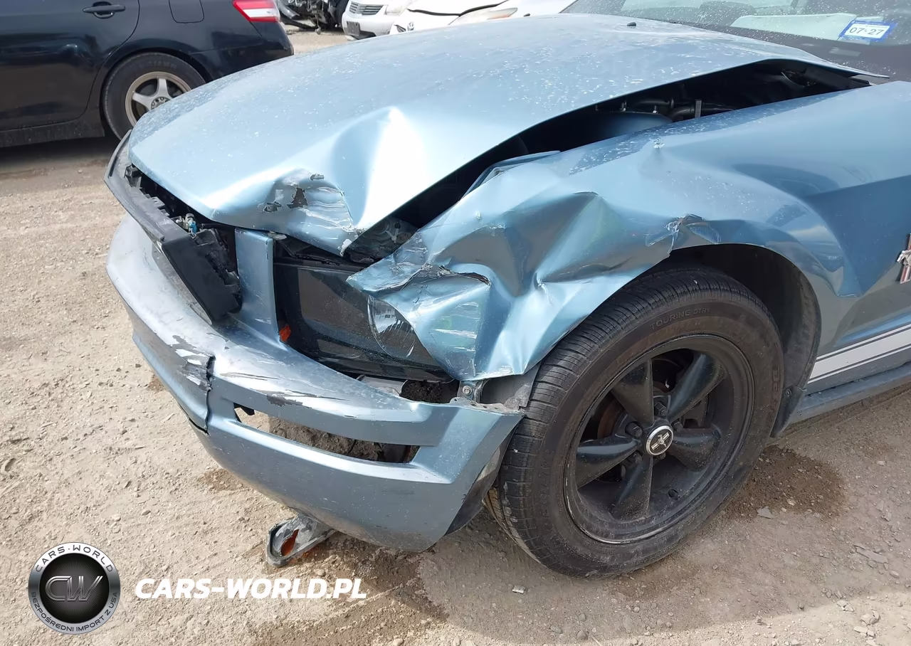 2006 Ford Mustang V6 VIN:1ZVFT80N565116184 - 6