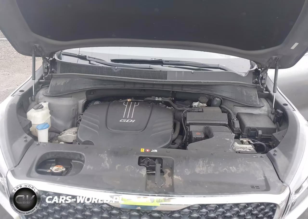 2016 Kia Sorento 3.3L Lx VIN:5XYPGDA56GG178897 - 10