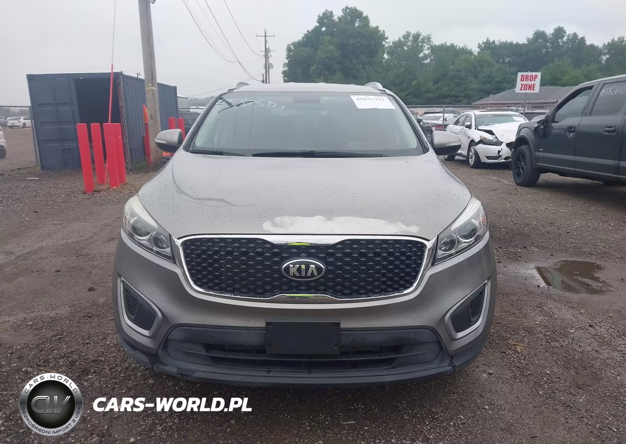 2016 Kia Sorento 3.3L Lx VIN:5XYPGDA56GG178897 - 12
