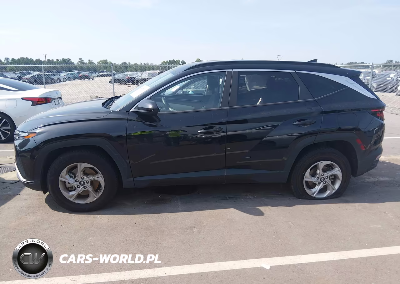 2024 Hyundai Tucson Sel VIN:5NMJBCDEXRH297779 - 14