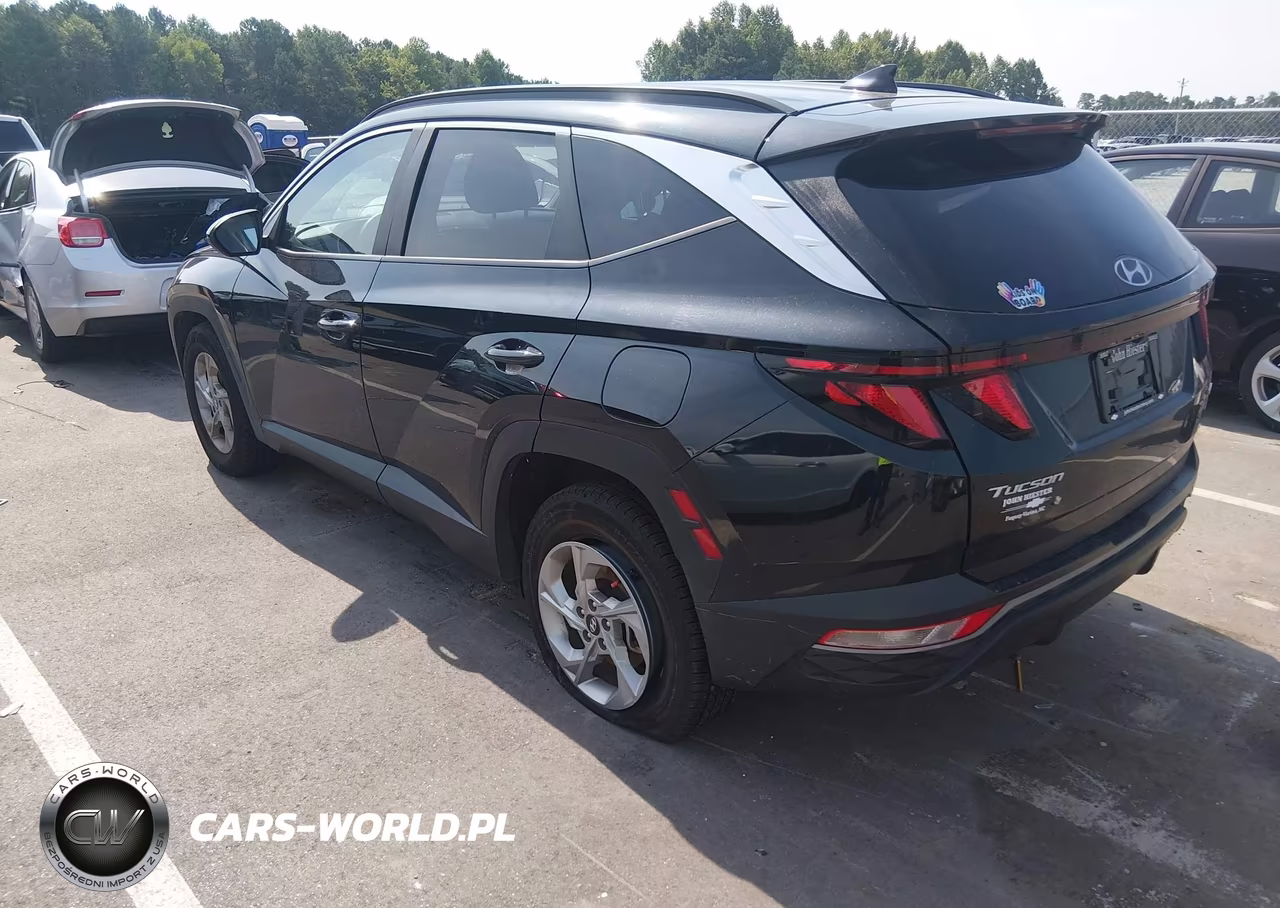 2024 Hyundai Tucson Sel VIN:5NMJBCDEXRH297779 - 3