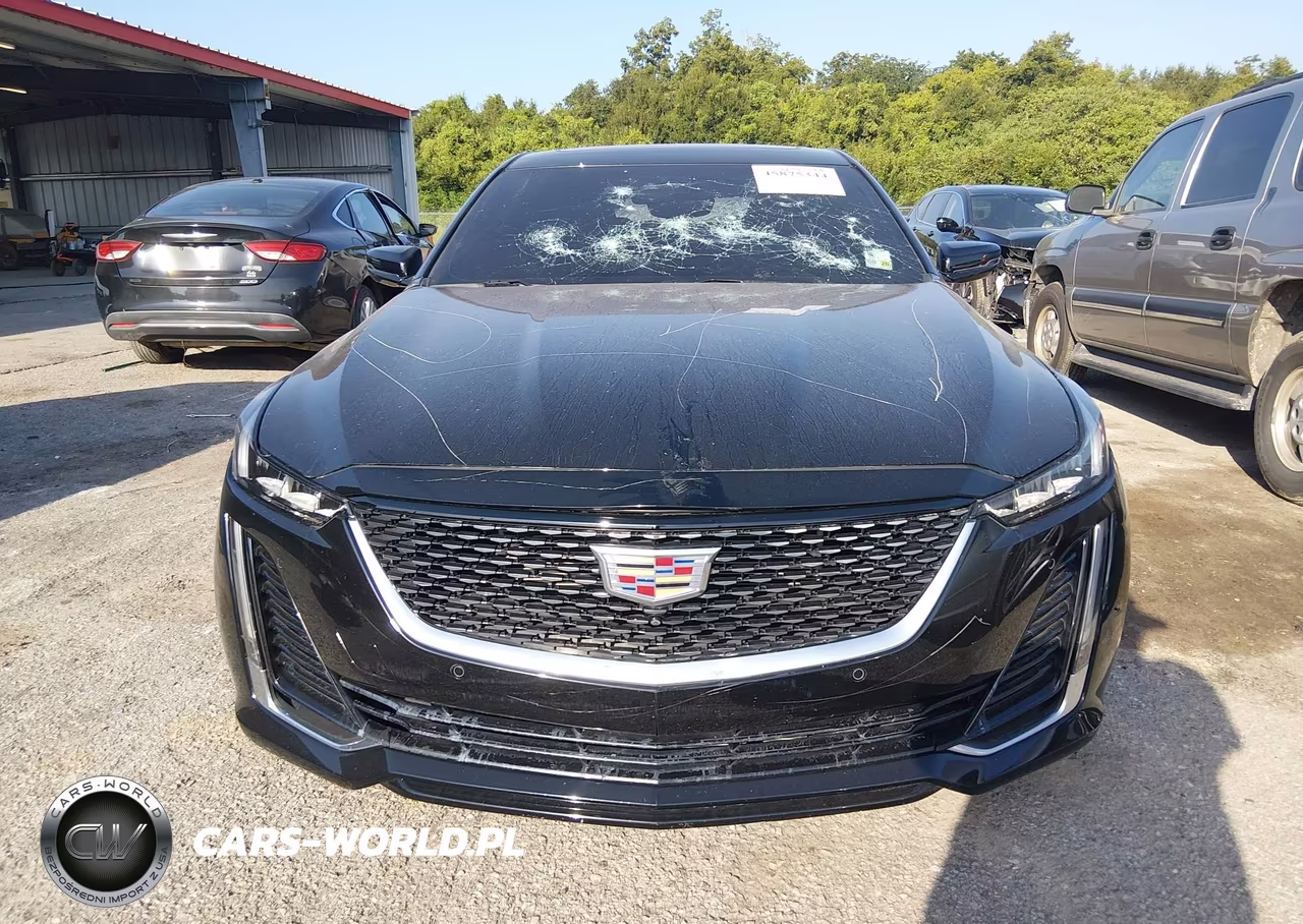2022 Cadillac Ct5 Premium Luxury VIN:1G6DN5RW3N0132056 - 12