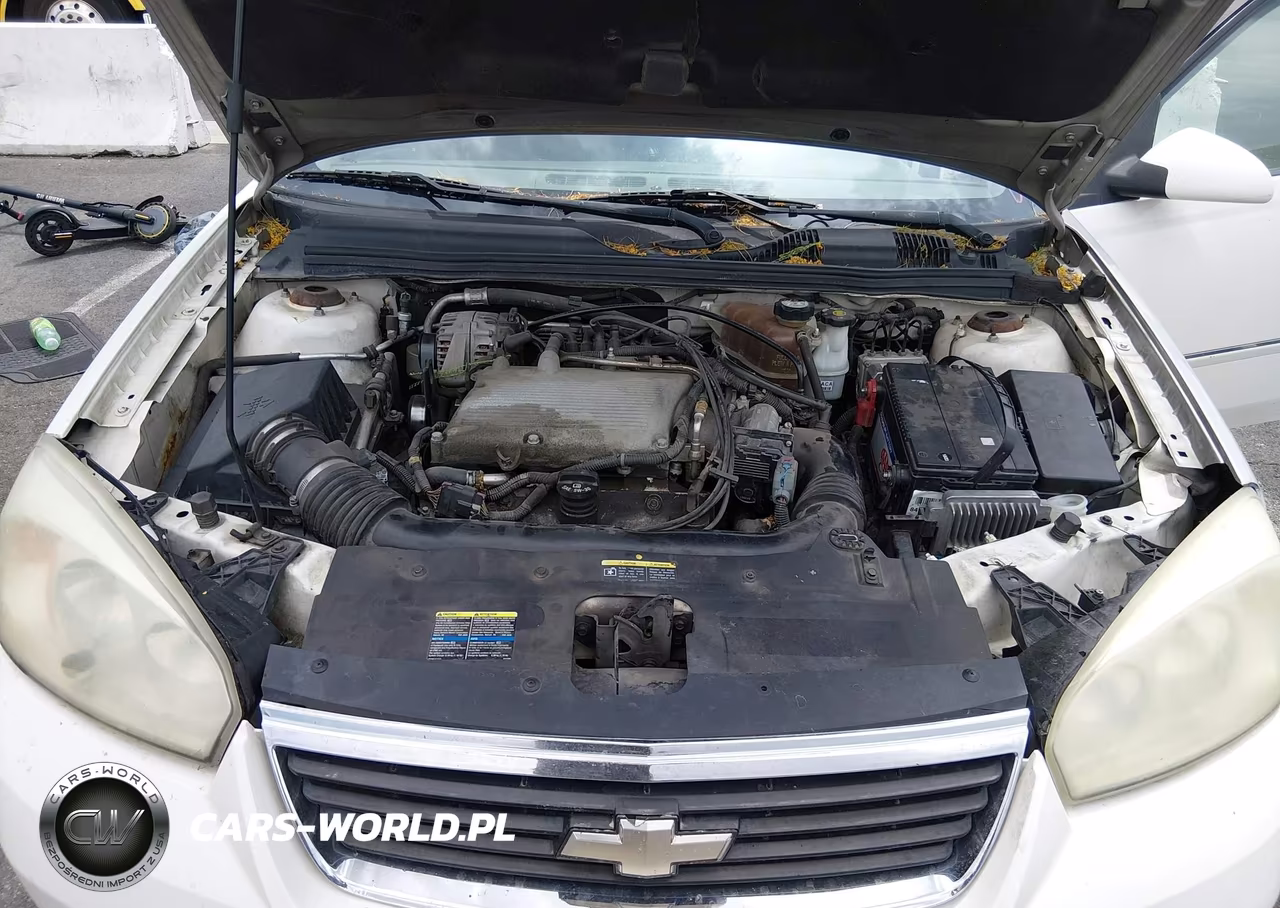 2006 Chevrolet Malibu Lt VIN:1G1ZT51856F272526 - 10