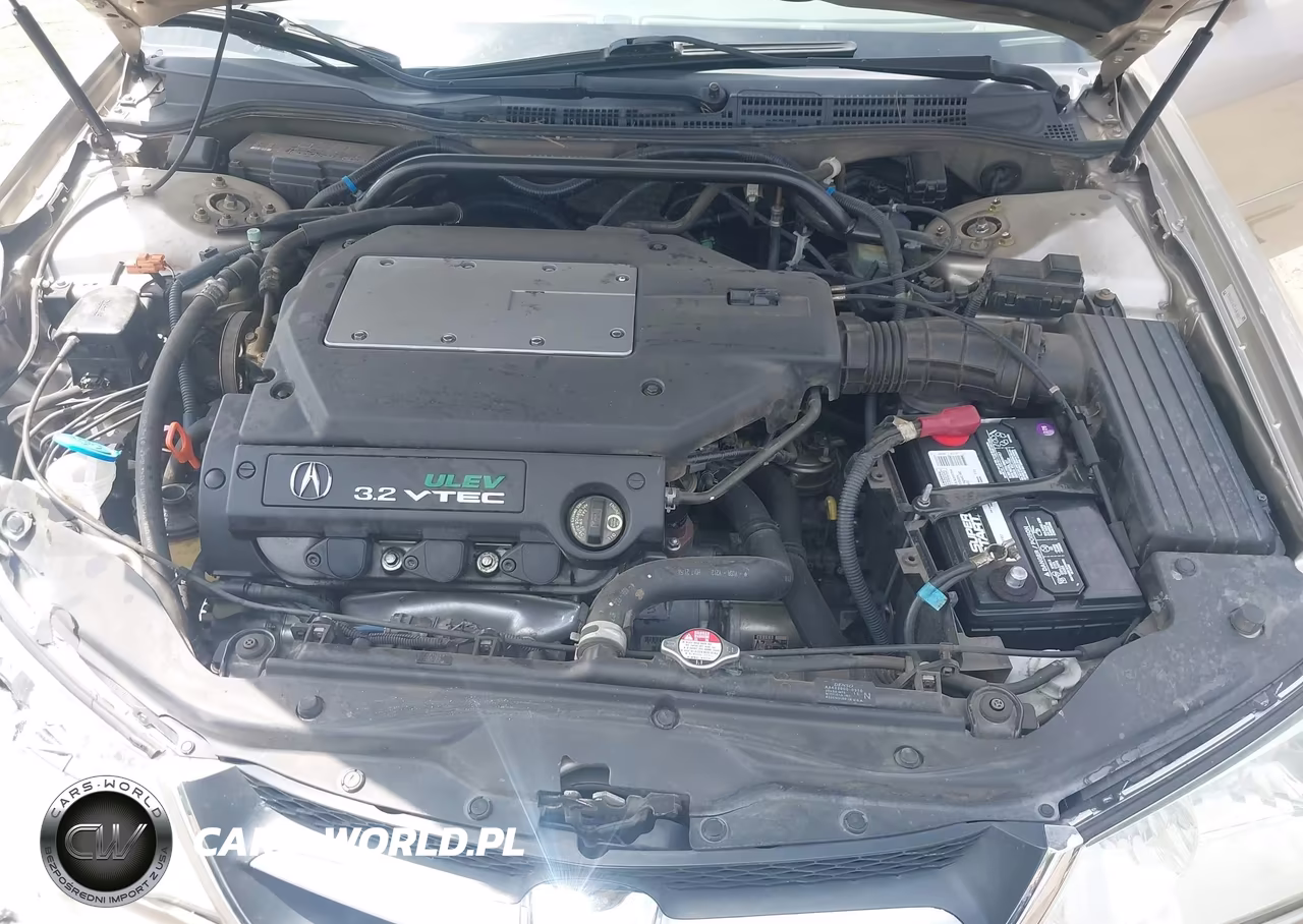 2003 Acura Tl 3.2 VIN:19UUA56673A060011 - 10