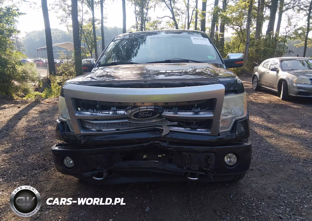 2010 Ford F-150 Fx4-Harley-Davidson-King Ranch-Lariat-Platinum-Xl-Xlt VIN:1FTFW1EV7AFD72291 - 11