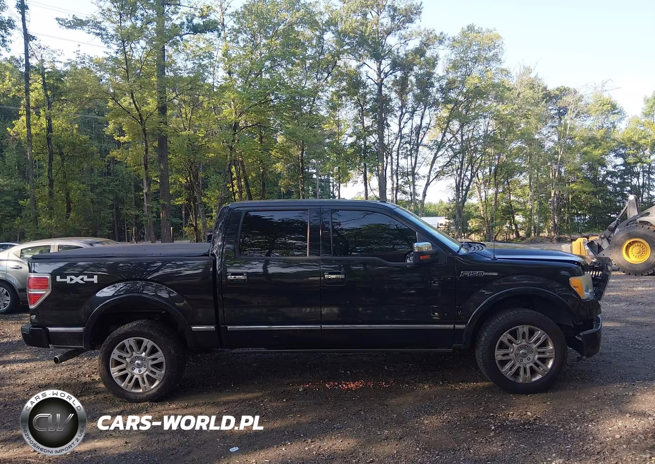 2010 Ford F-150 Fx4-Harley-Davidson-King Ranch-Lariat-Platinum-Xl-Xlt VIN:1FTFW1EV7AFD72291 - 12
