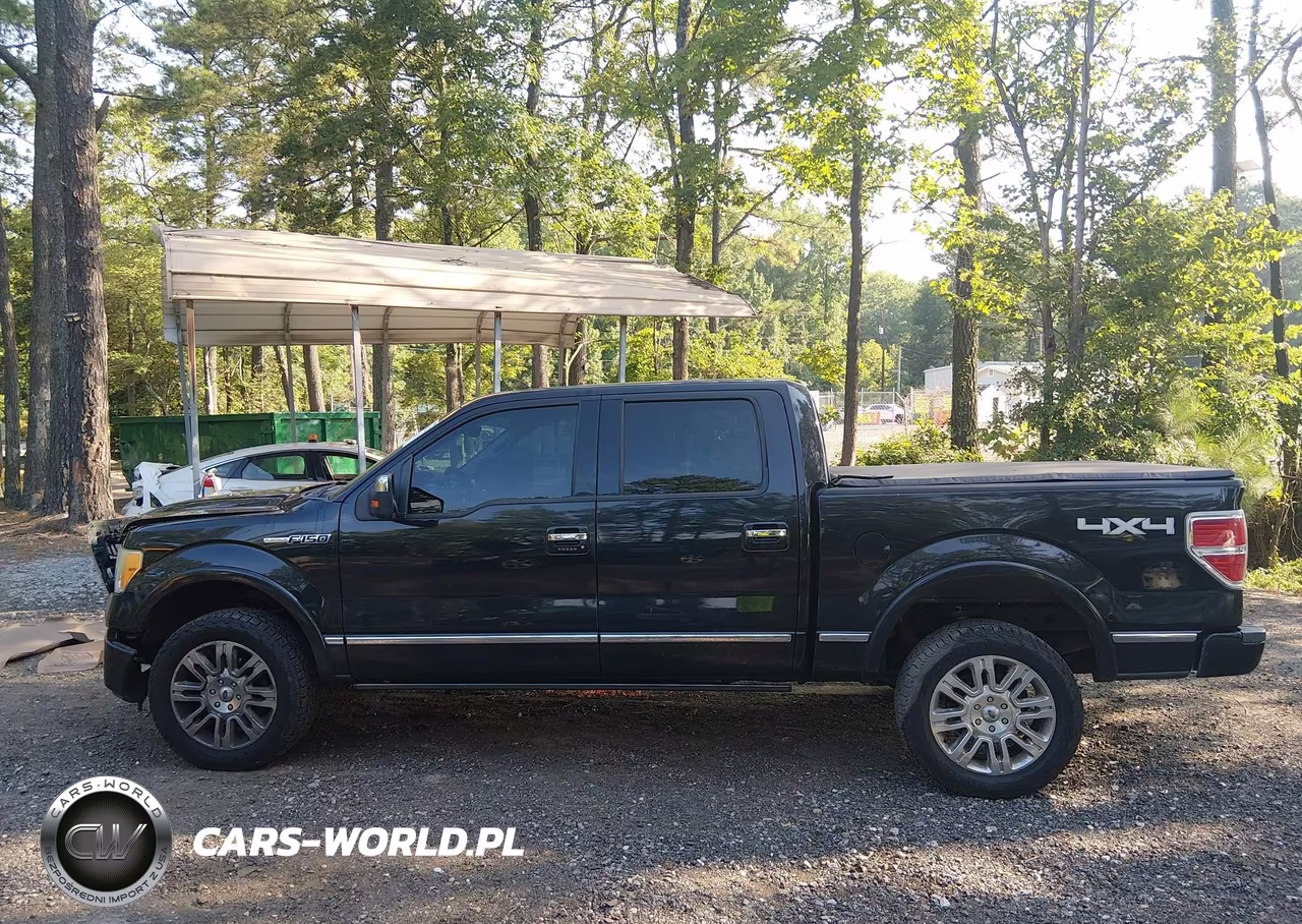 2010 Ford F-150 Fx4-Harley-Davidson-King Ranch-Lariat-Platinum-Xl-Xlt VIN:1FTFW1EV7AFD72291 - 13