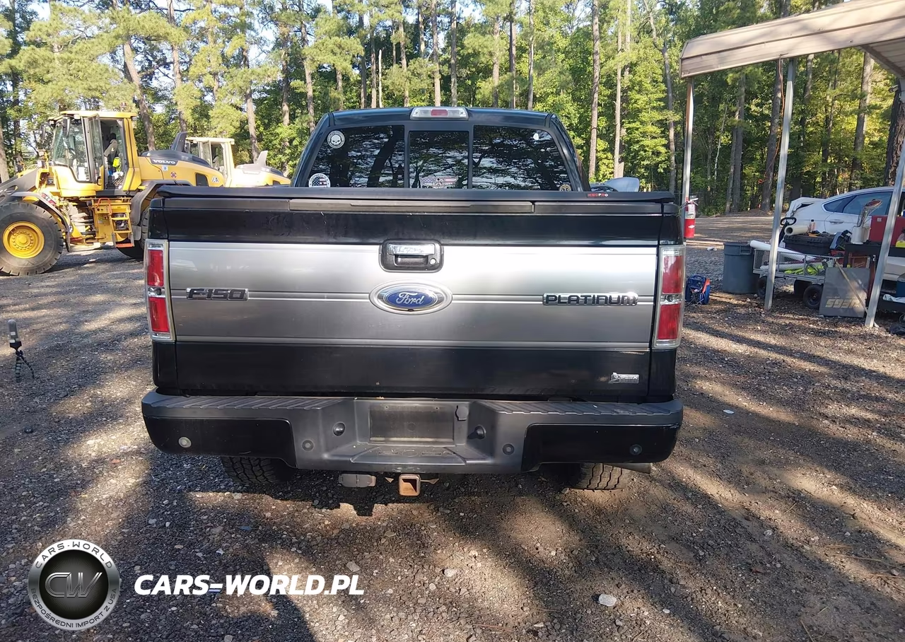 2010 Ford F-150 Fx4-Harley-Davidson-King Ranch-Lariat-Platinum-Xl-Xlt VIN:1FTFW1EV7AFD72291 - 15