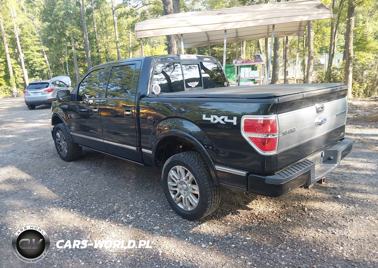 2010 Ford F-150 Fx4-Harley-Davidson-King Ranch-Lariat-Platinum-Xl-Xlt VIN:1FTFW1EV7AFD72291 - 3
