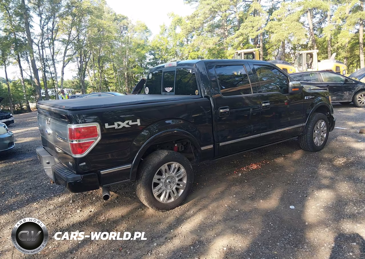 2010 Ford F-150 Fx4-Harley-Davidson-King Ranch-Lariat-Platinum-Xl-Xlt VIN:1FTFW1EV7AFD72291 - 4