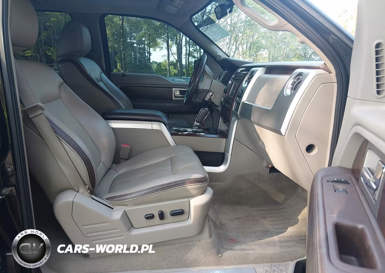 2010 Ford F-150 Fx4-Harley-Davidson-King Ranch-Lariat-Platinum-Xl-Xlt VIN:1FTFW1EV7AFD72291 - 5