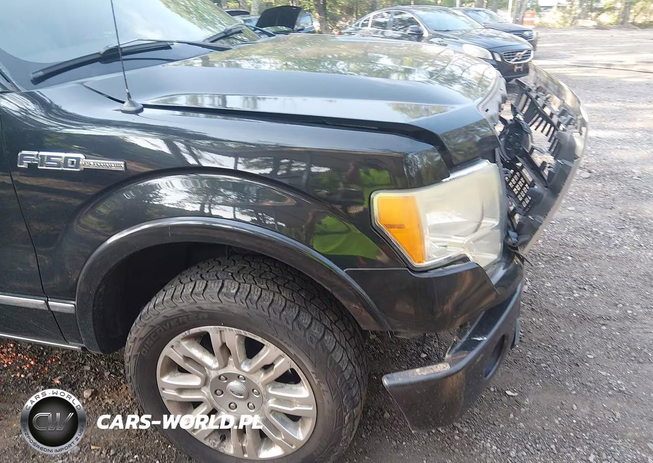 2010 Ford F-150 Fx4-Harley-Davidson-King Ranch-Lariat-Platinum-Xl-Xlt VIN:1FTFW1EV7AFD72291 - 6
