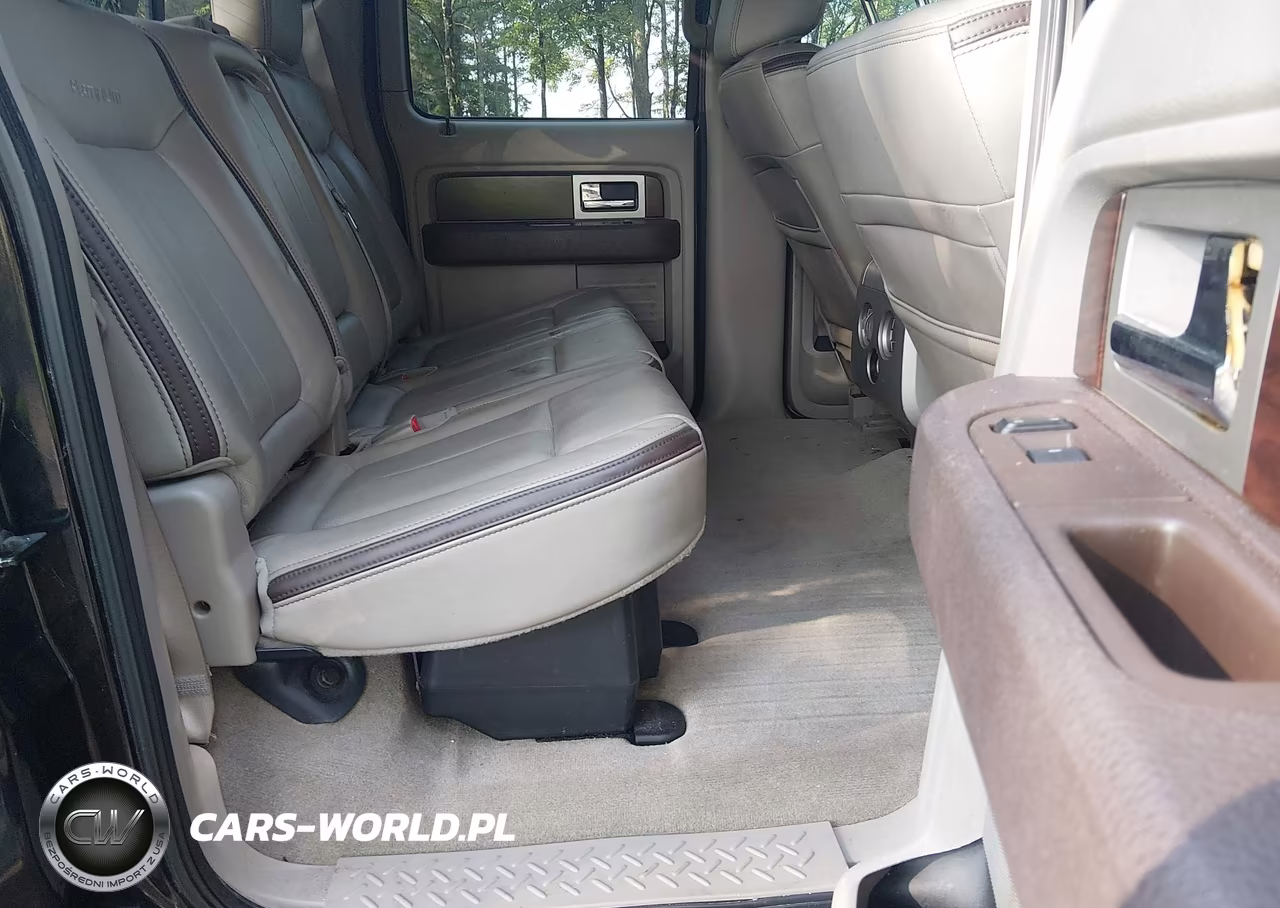2010 Ford F-150 Fx4-Harley-Davidson-King Ranch-Lariat-Platinum-Xl-Xlt VIN:1FTFW1EV7AFD72291 - 8