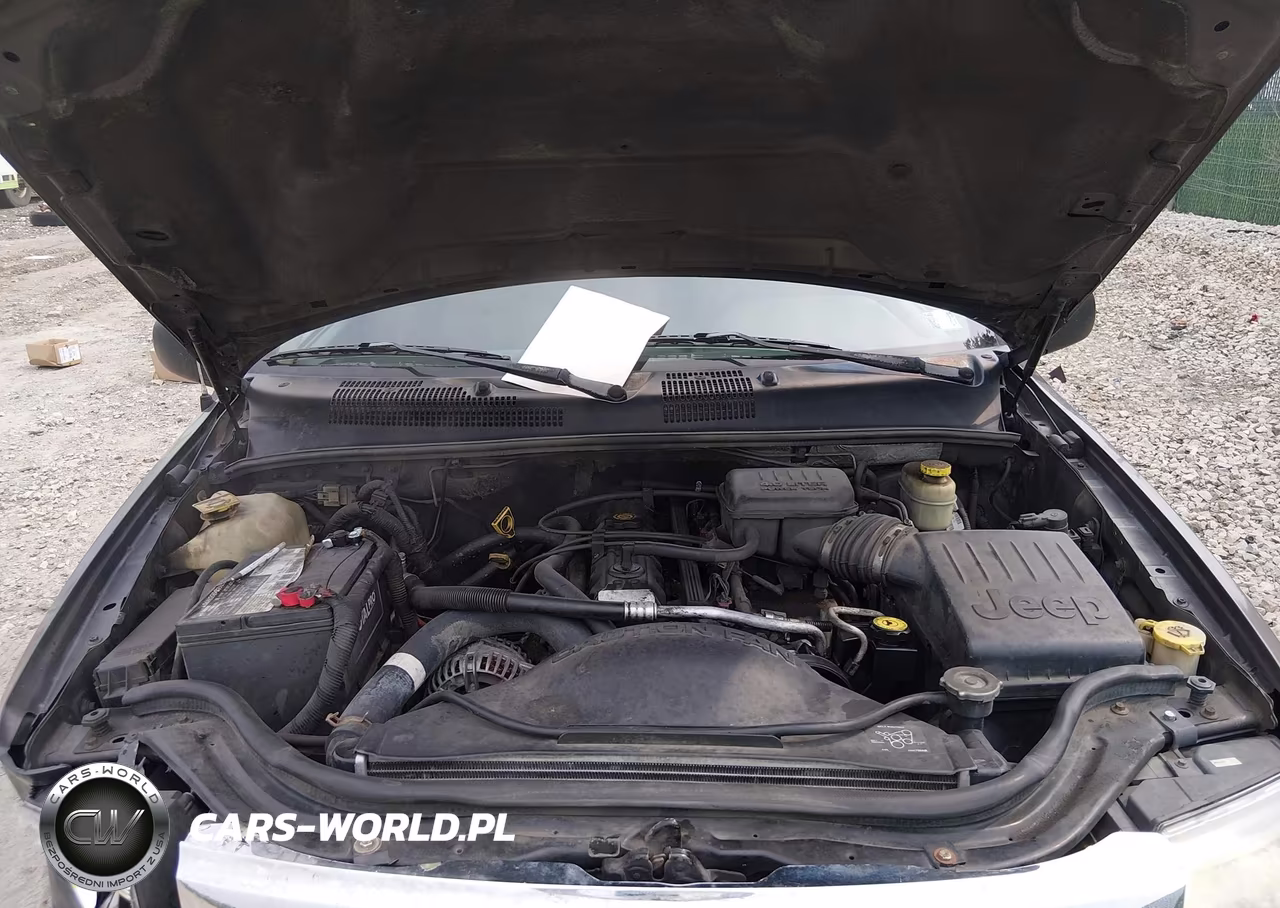 2004 Jeep Grand Cherokee Laredo VIN:1J4GW48SX4C276808 - 10