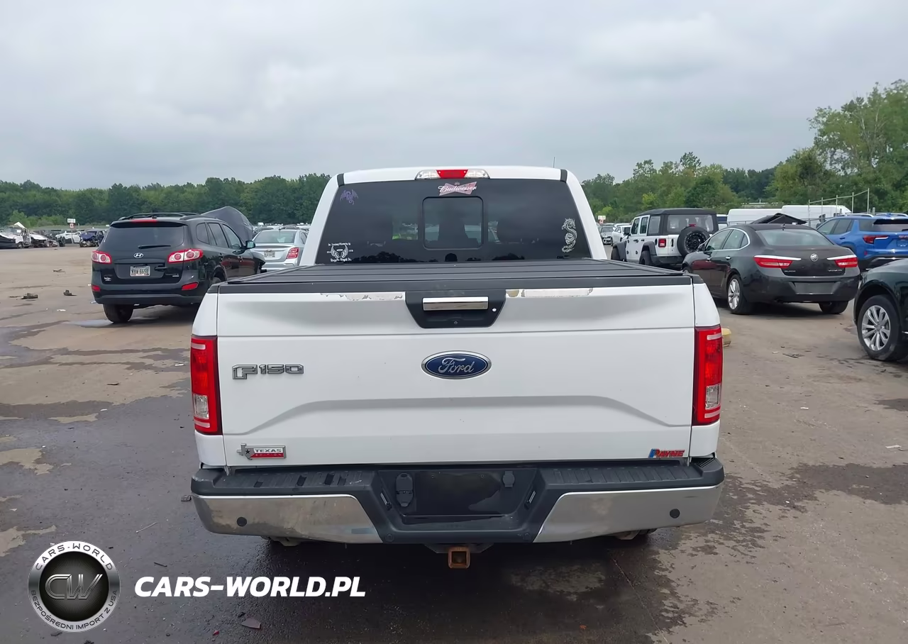 2017 Ford F-150 Xlt VIN:1FTEW1CPXHKD52666 - 16