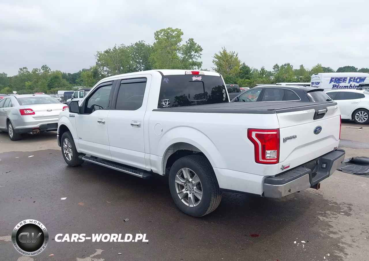 2017 Ford F-150 Xlt VIN:1FTEW1CPXHKD52666 - 3