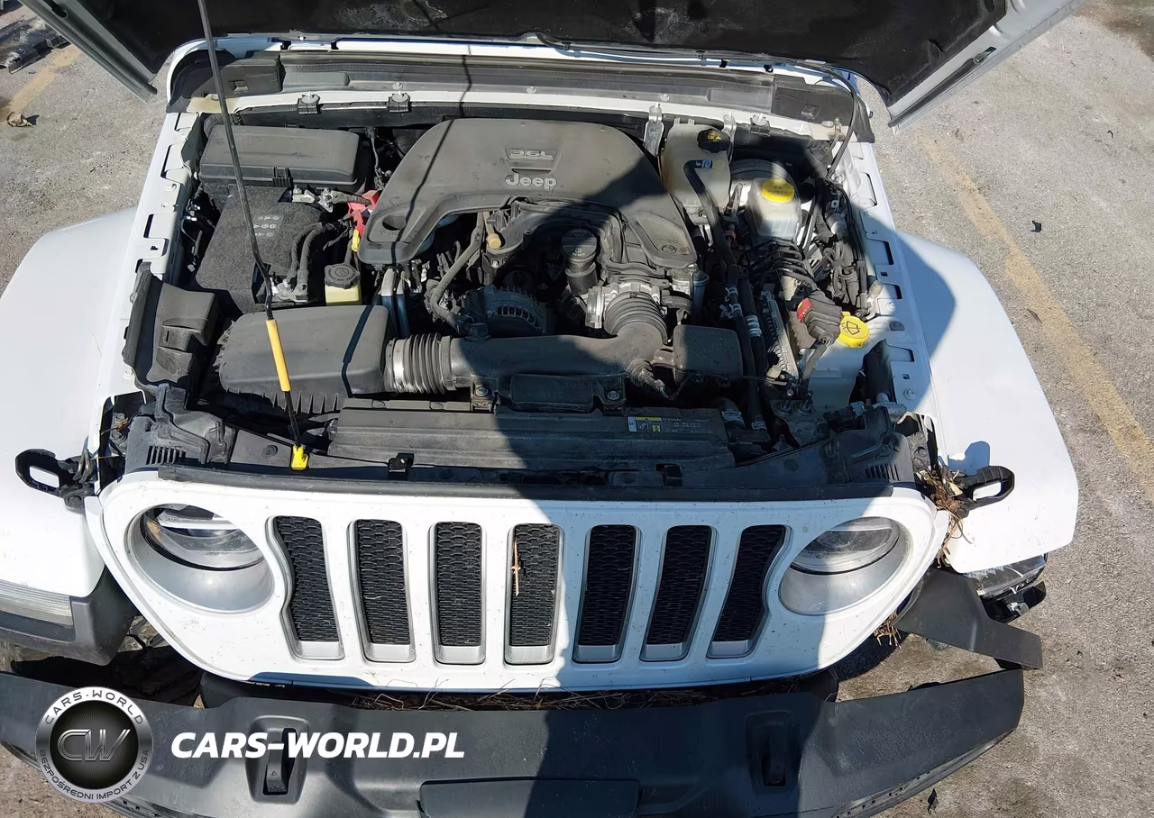 2018 Jeep Wrangler Unlimited Sahara 4X4 VIN:1C4HJXEGXJW110843 - 10