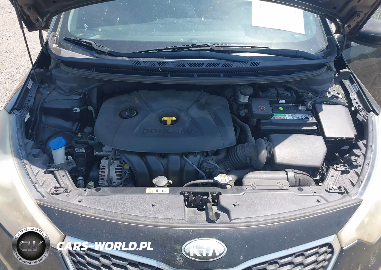 2014 Kia Forte Lx VIN:KNAFK4A67E5189641 - 10