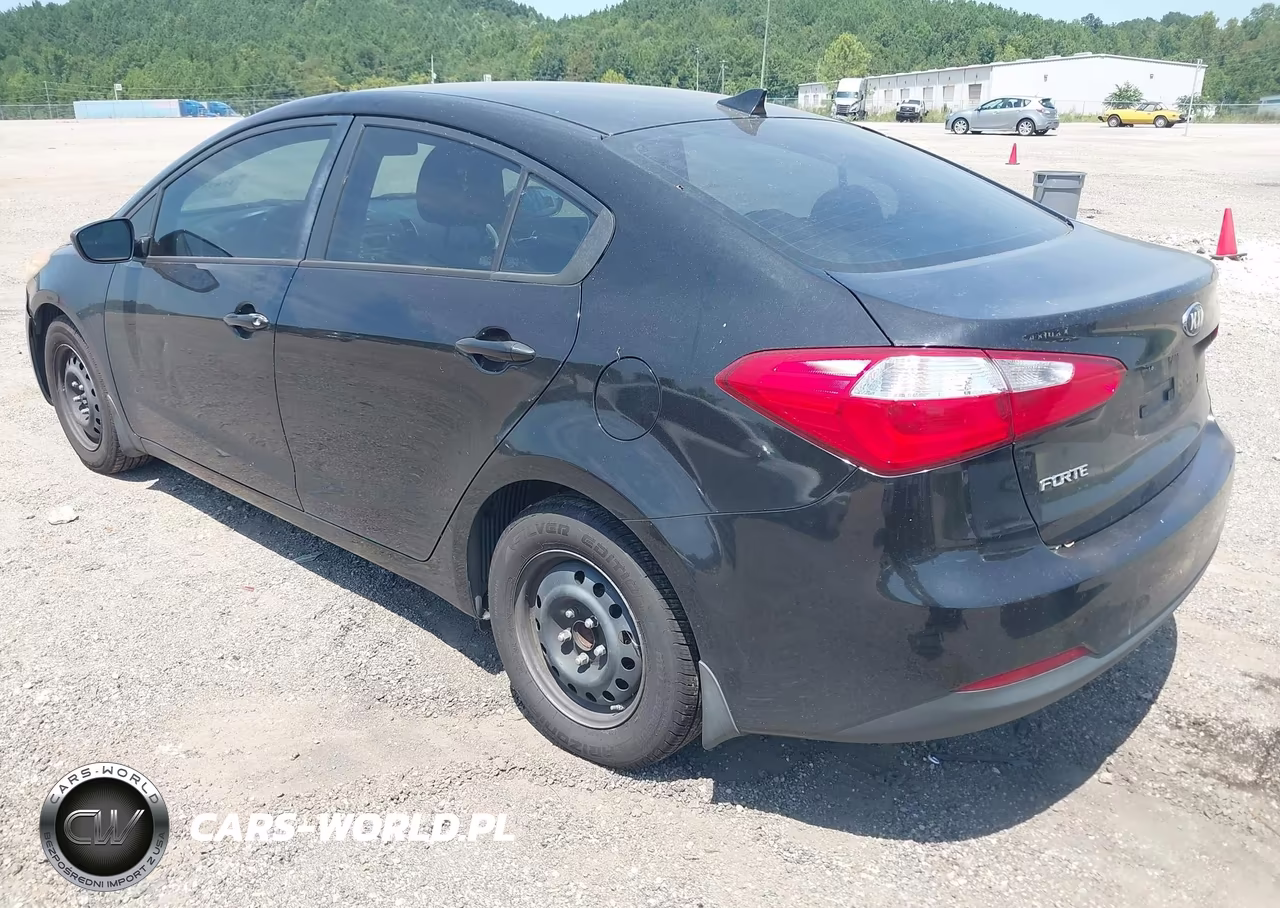 2014 Kia Forte Lx VIN:KNAFK4A67E5189641 - 3