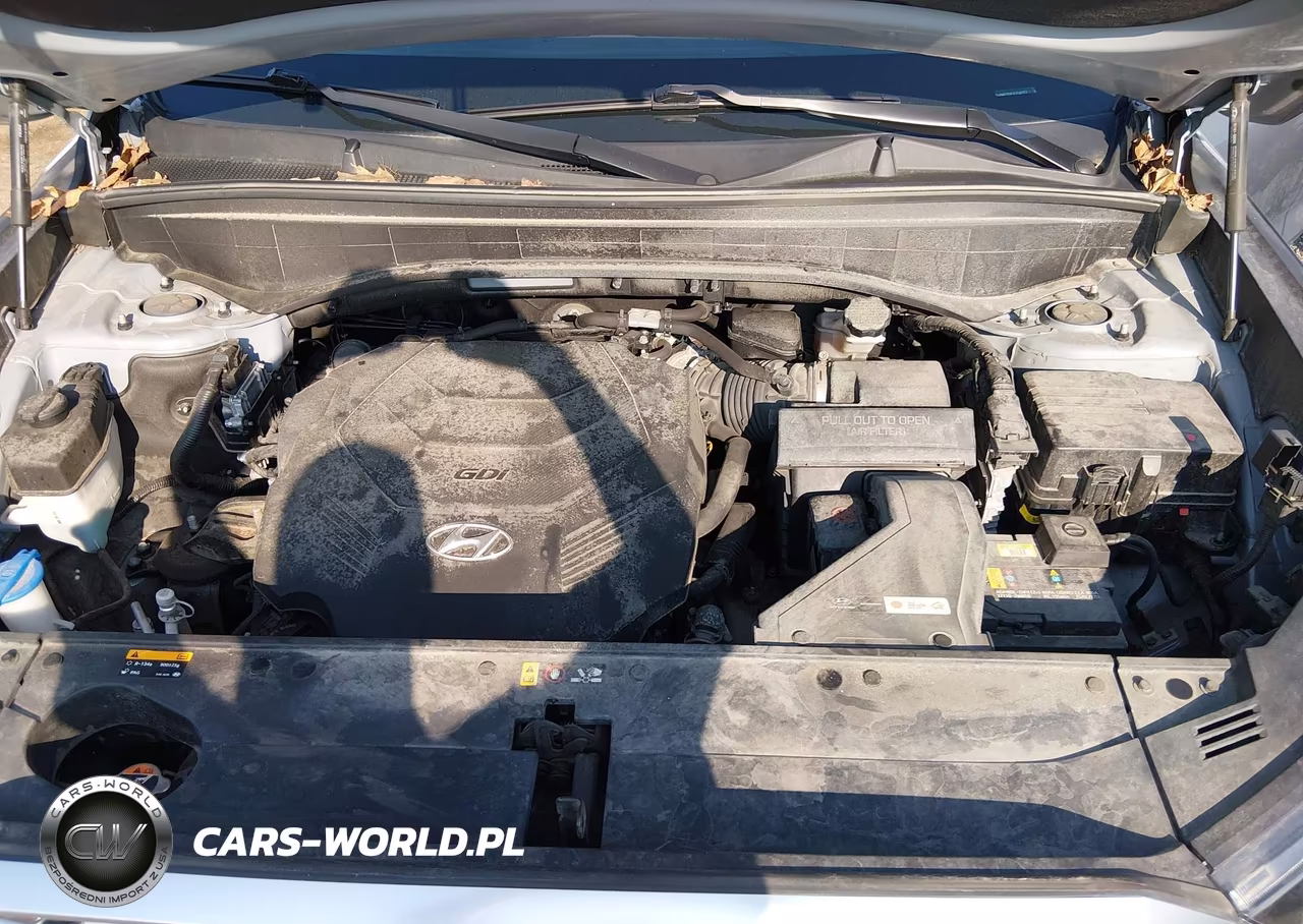 2020 Hyundai Palisade Sel VIN:KM8R3DHEXLU146257 - 10
