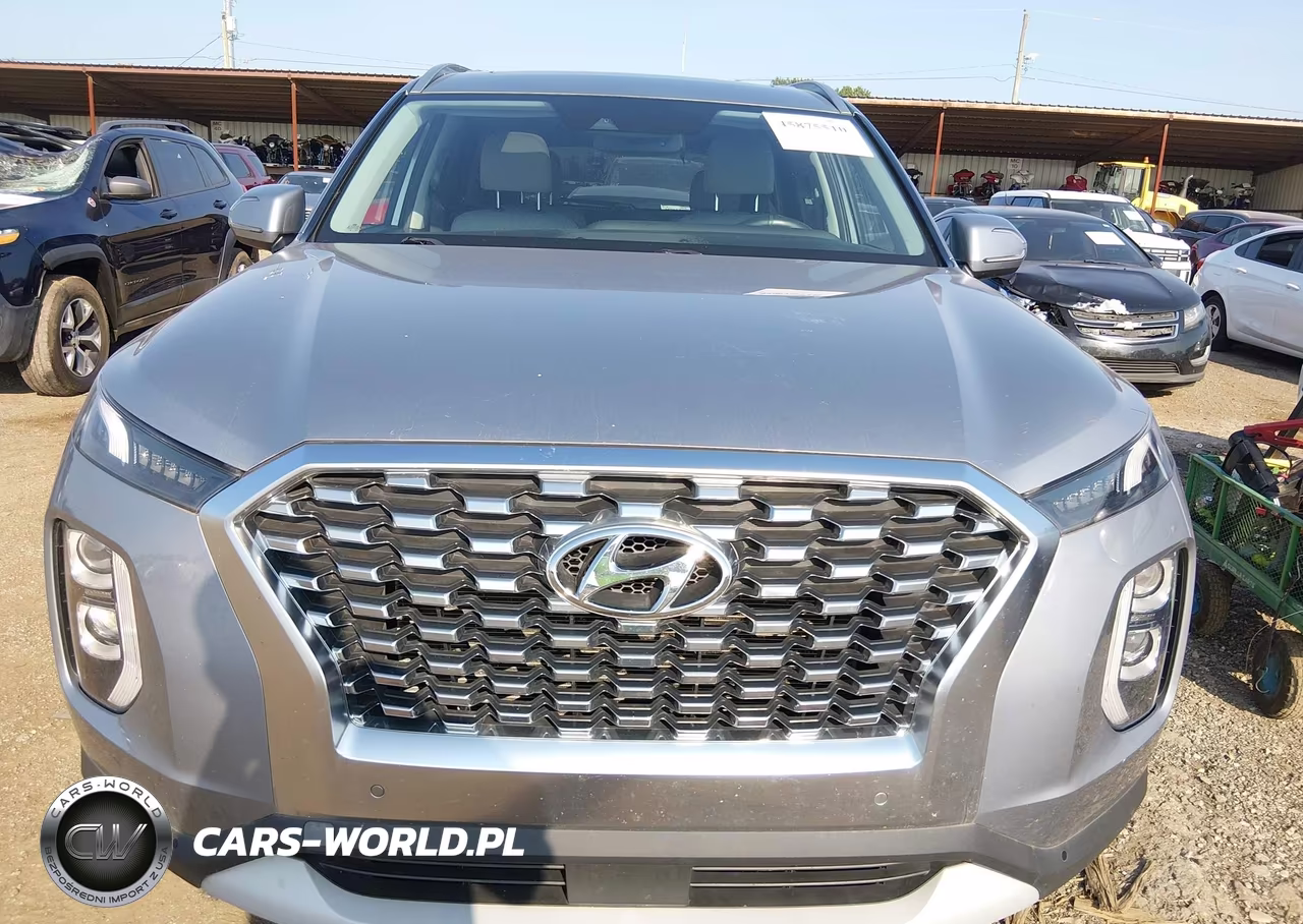 2020 Hyundai Palisade Sel VIN:KM8R3DHEXLU146257 - 12
