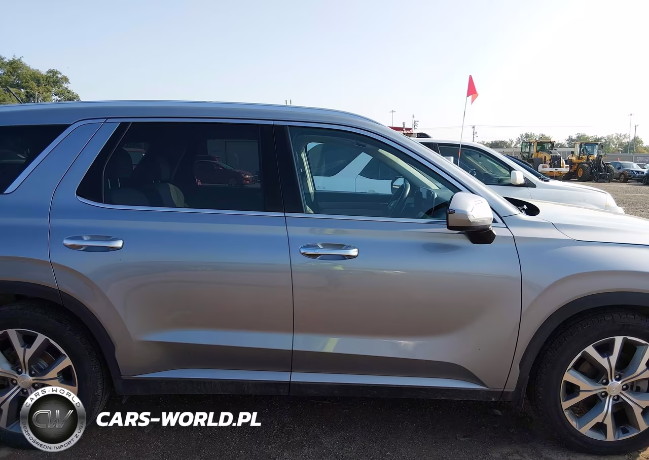 2020 Hyundai Palisade Sel VIN:KM8R3DHEXLU146257 - 13