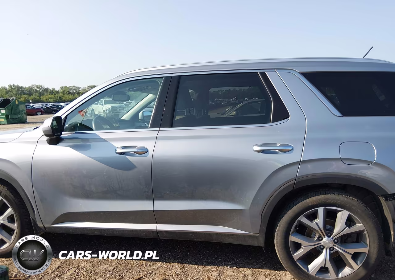 2020 Hyundai Palisade Sel VIN:KM8R3DHEXLU146257 - 14