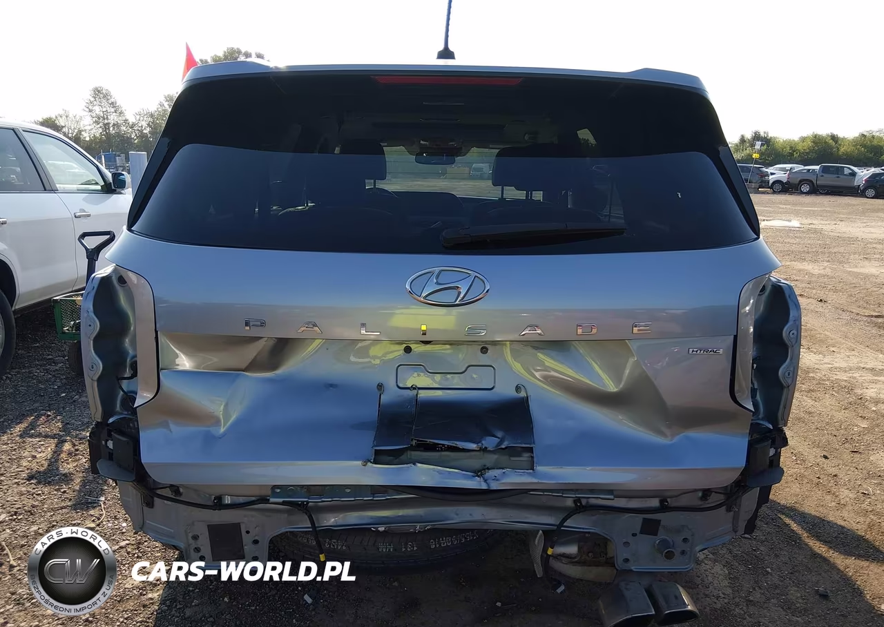2020 Hyundai Palisade Sel VIN:KM8R3DHEXLU146257 - 16
