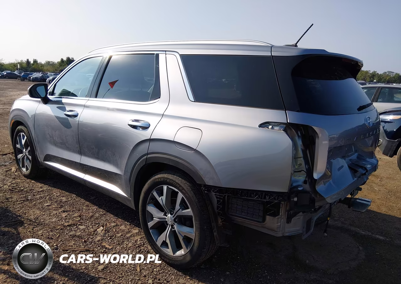2020 Hyundai Palisade Sel VIN:KM8R3DHEXLU146257 - 3