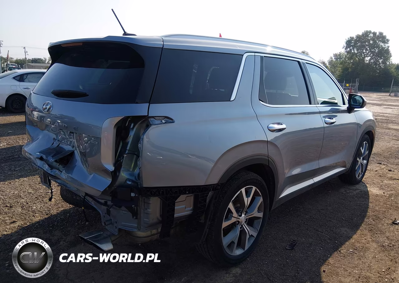 2020 Hyundai Palisade Sel VIN:KM8R3DHEXLU146257 - 4