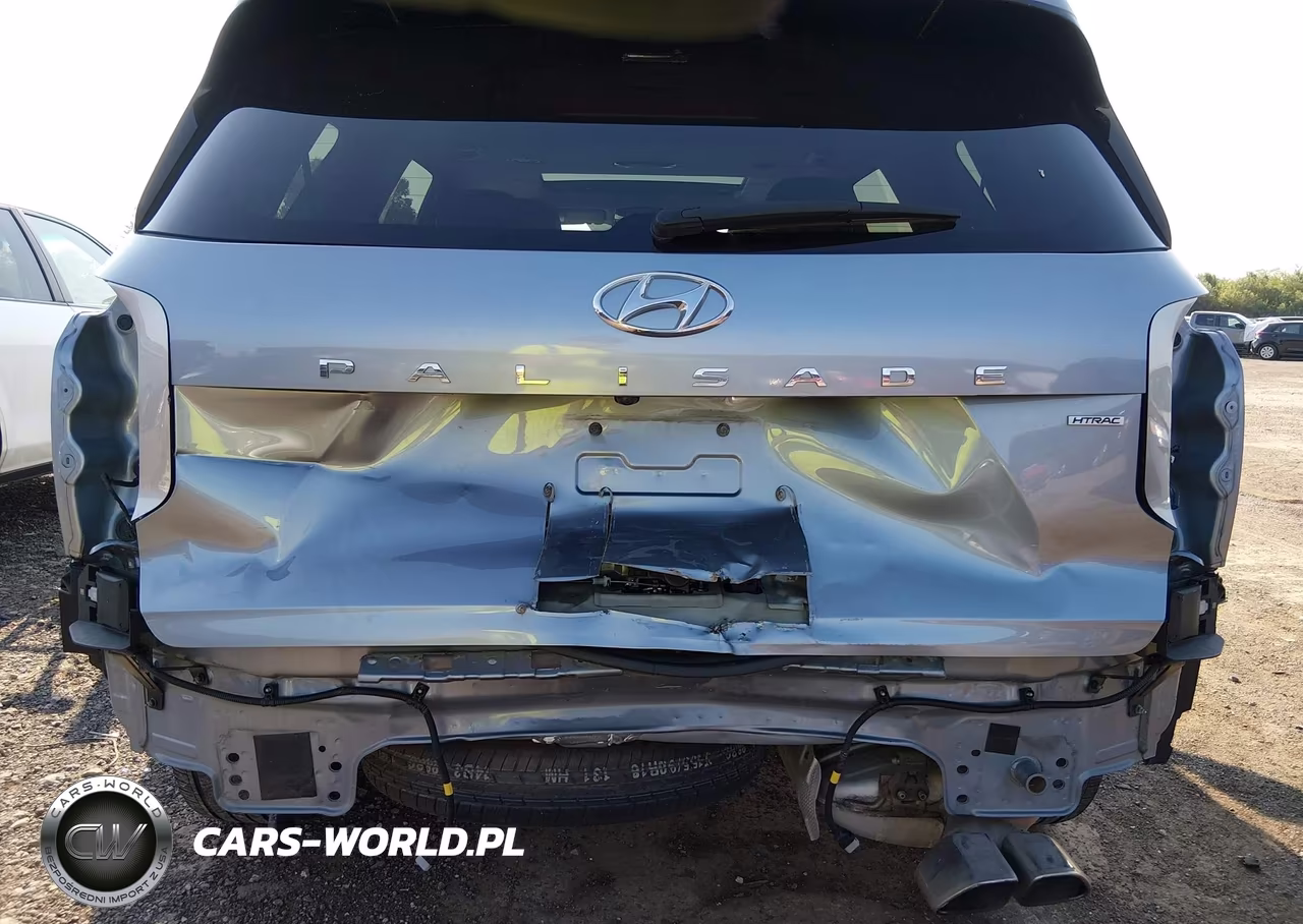 2020 Hyundai Palisade Sel VIN:KM8R3DHEXLU146257 - 6