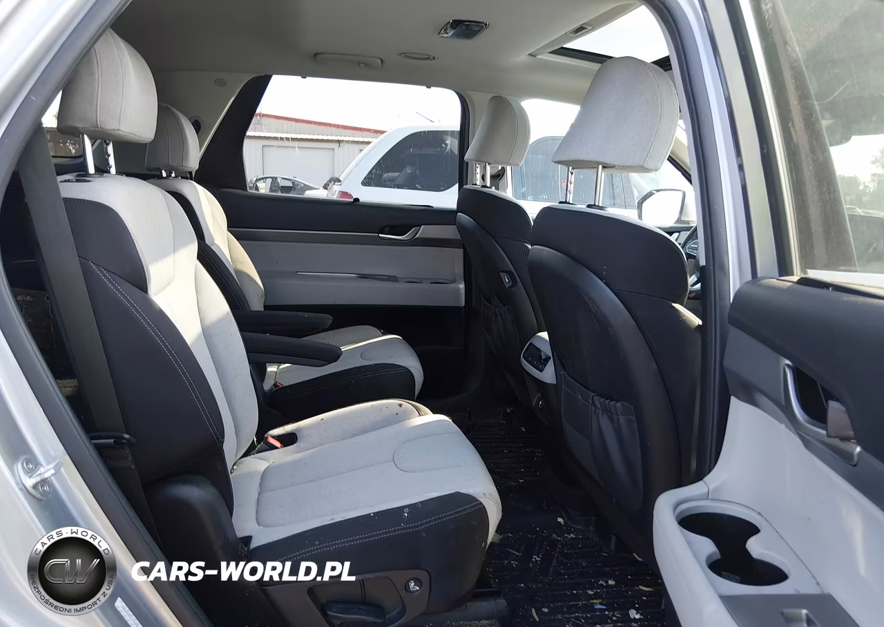 2020 Hyundai Palisade Sel VIN:KM8R3DHEXLU146257 - 8