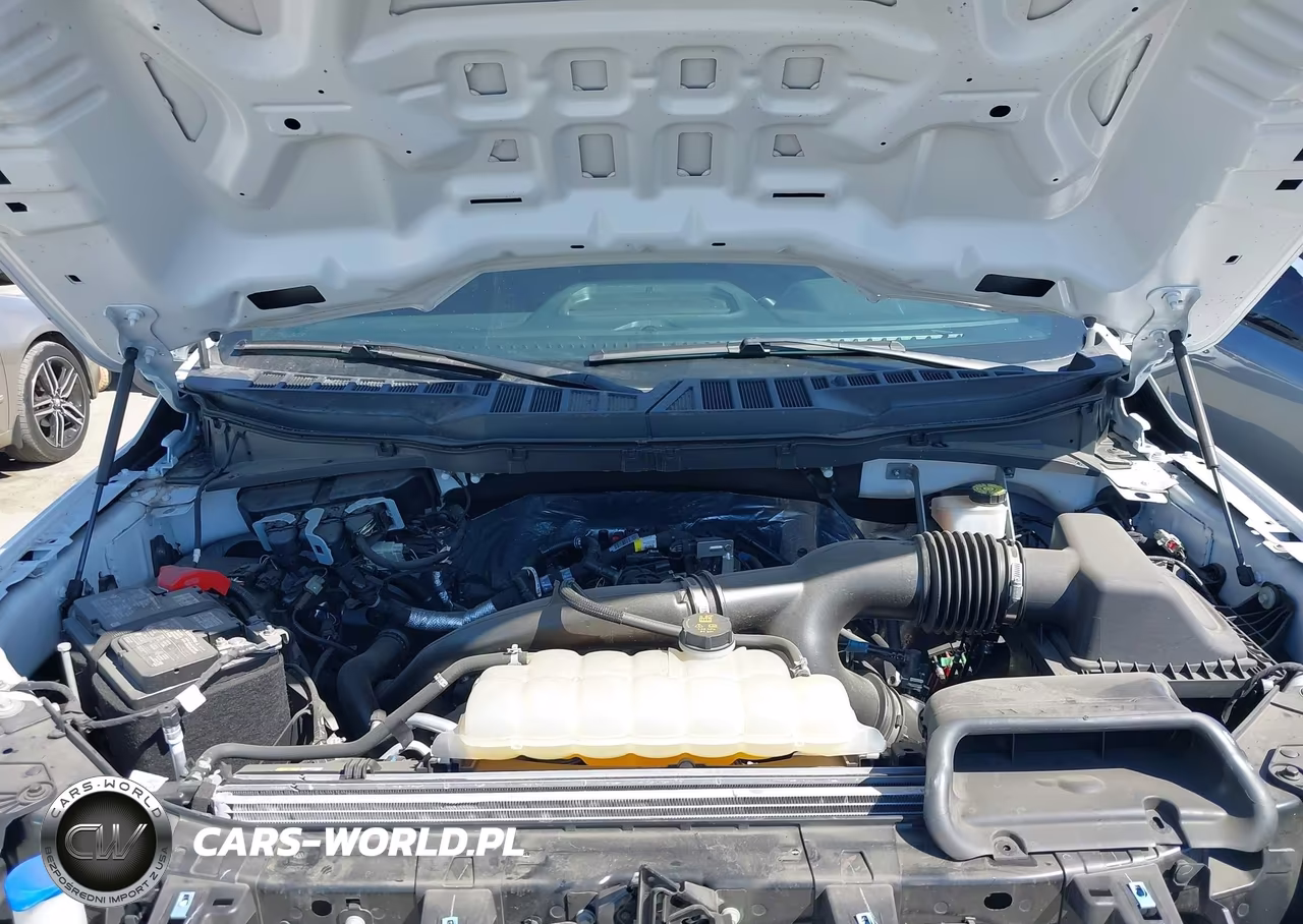 2024 Ford F-150 Stx VIN:1FTEW2KP7RKF49819 - 10