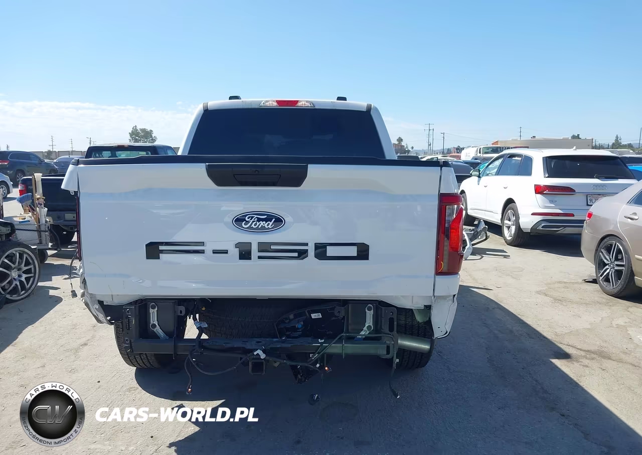 2024 Ford F-150 Stx VIN:1FTEW2KP7RKF49819 - 17