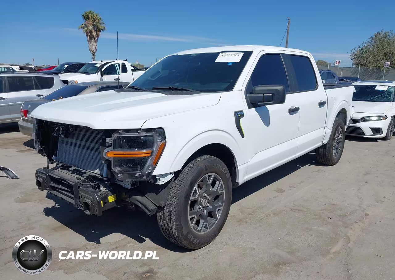 2024 Ford F-150 Stx VIN:1FTEW2KP7RKF49819 - 2