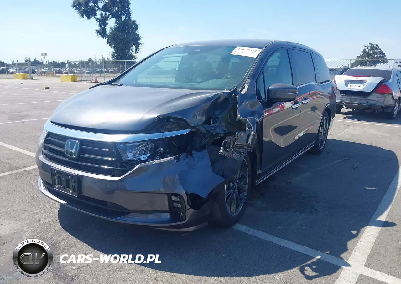 2023 Honda Odyssey Elite VIN:5FNRL6H96PB066018 - 2
