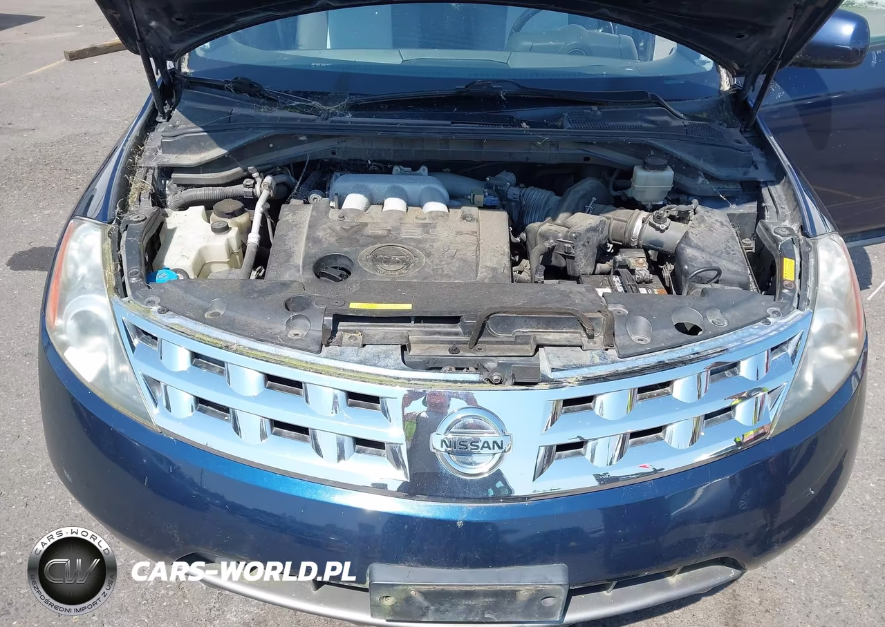 2004 Nissan Murano Sl VIN:JN8AZ08W84W337915 - 10