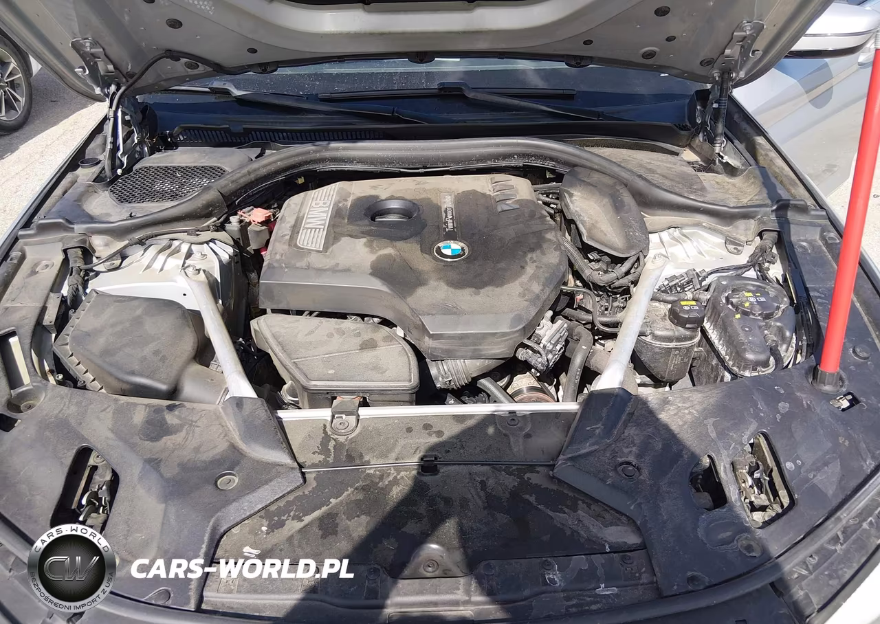 2019 BMW 530I VIN:WBAJA5C56KBX87403 - 10