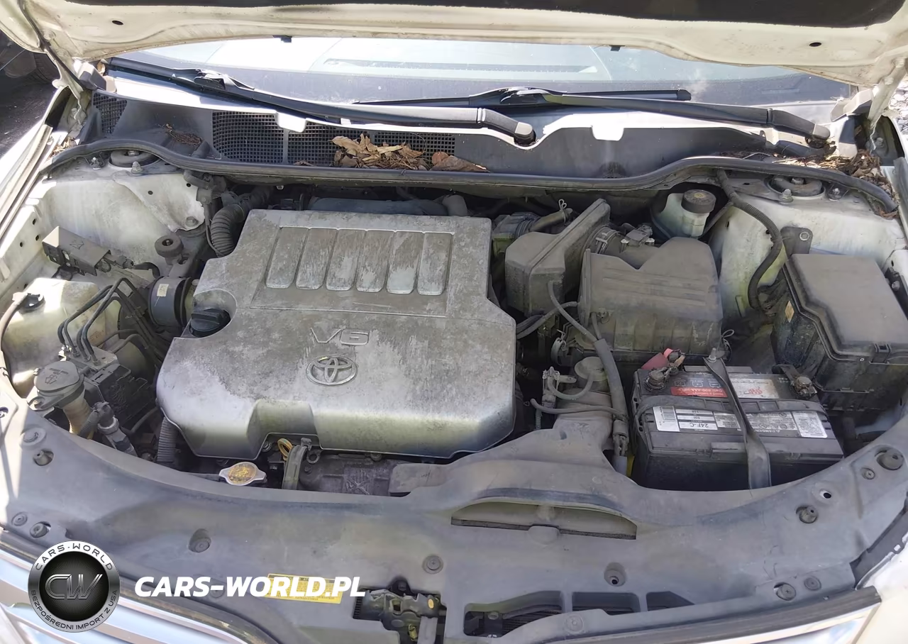 2010 Toyota Venza Base V6 VIN:4T3BK3BB2AU040788 - 10