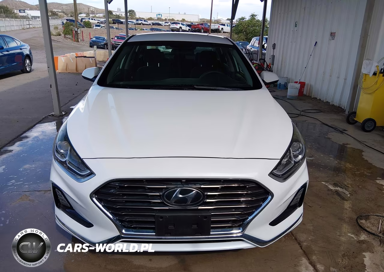 2019 Hyundai Sonata Eco VIN:5NPE24AAXKH801703 - 12