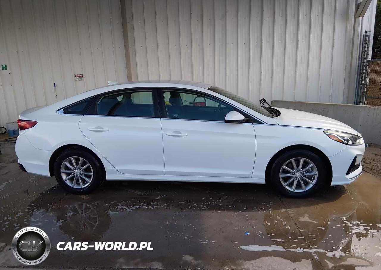 2019 Hyundai Sonata Eco VIN:5NPE24AAXKH801703 - 13