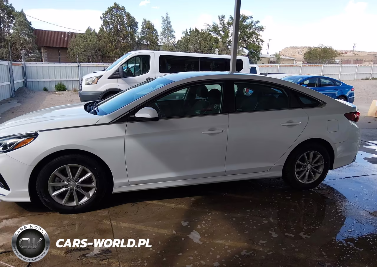 2019 Hyundai Sonata Eco VIN:5NPE24AAXKH801703 - 14