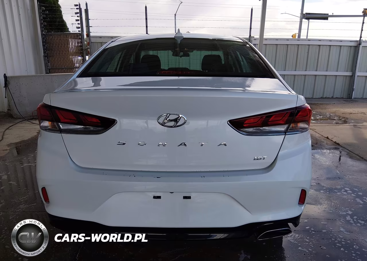 2019 Hyundai Sonata Eco VIN:5NPE24AAXKH801703 - 16