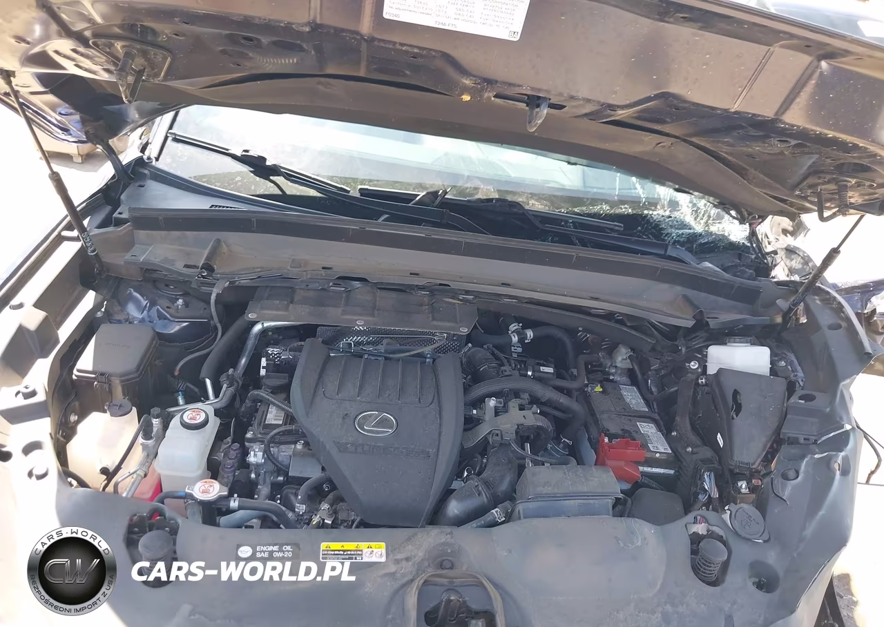 2024 Lexus Tx 350 Luxury VIN:5TDAAAB66RS006341 - 10