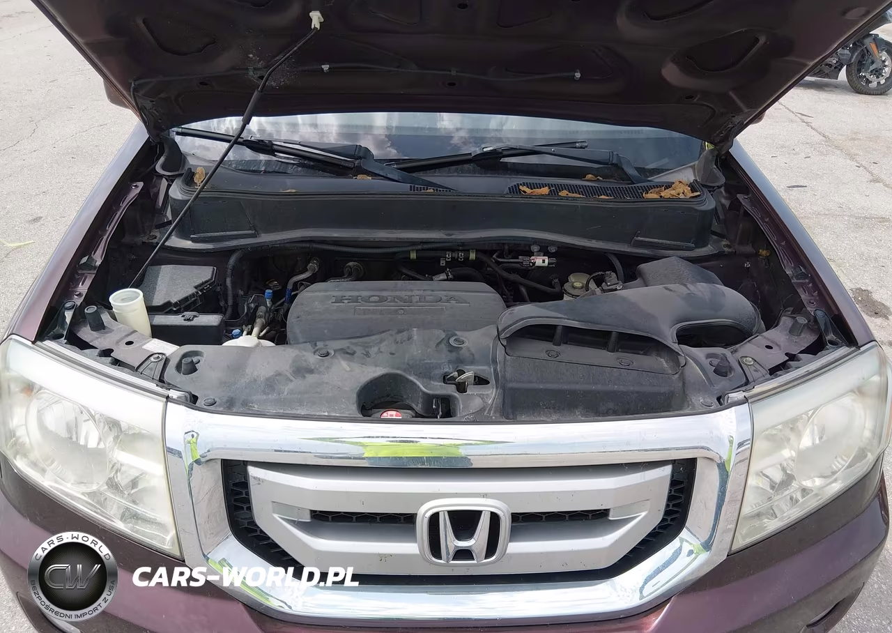 2010 Honda Pilot Ex-L VIN:5FNYF3H64AB017947 - 10