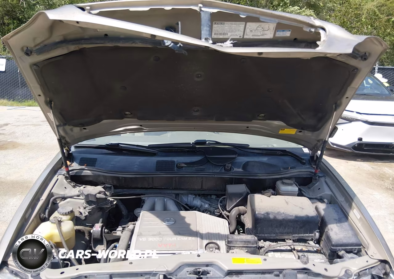 2002 Lexus Rx 300 VIN:JTJHF10U320262881 - 10