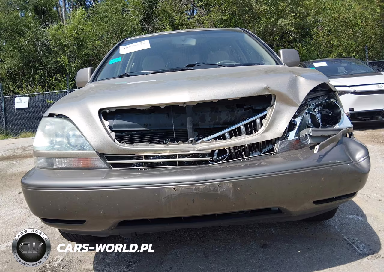 2002 Lexus Rx 300 VIN:JTJHF10U320262881 - 6