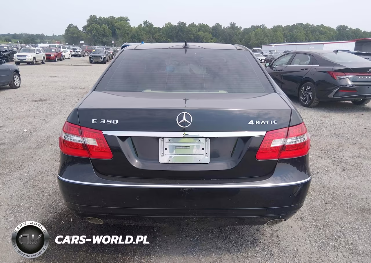 2010 Mercedes-Benz E 350 4Matic VIN:WDDHF8HB1AA202210 - 16